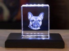 Foto nel cristallo 3D cane