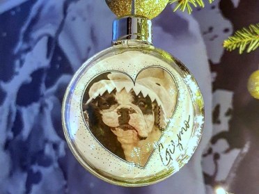 Cane nel cuore