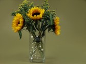 Vaso con vari design da scegliere